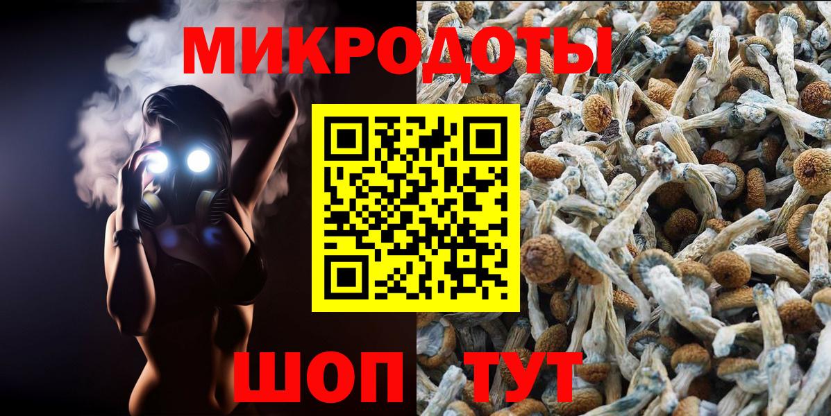 цена   Вход с VPN  Сальск  Псилоцибиновые грибы Magic Shrooms 