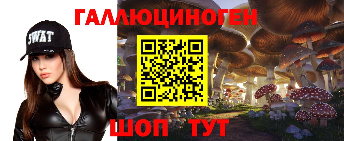 Галлюциногенные грибы прущие грибы Сальск